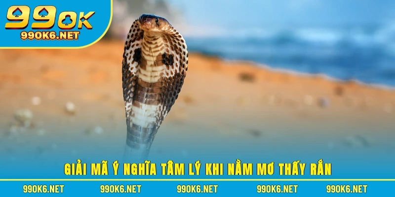 Giải mã ý nghĩa tâm lý khi nằm mơ thấy rắn